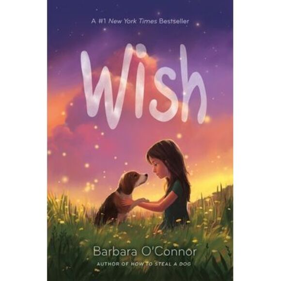Wish -- Barbara O'Connor - Picture 1 of 3